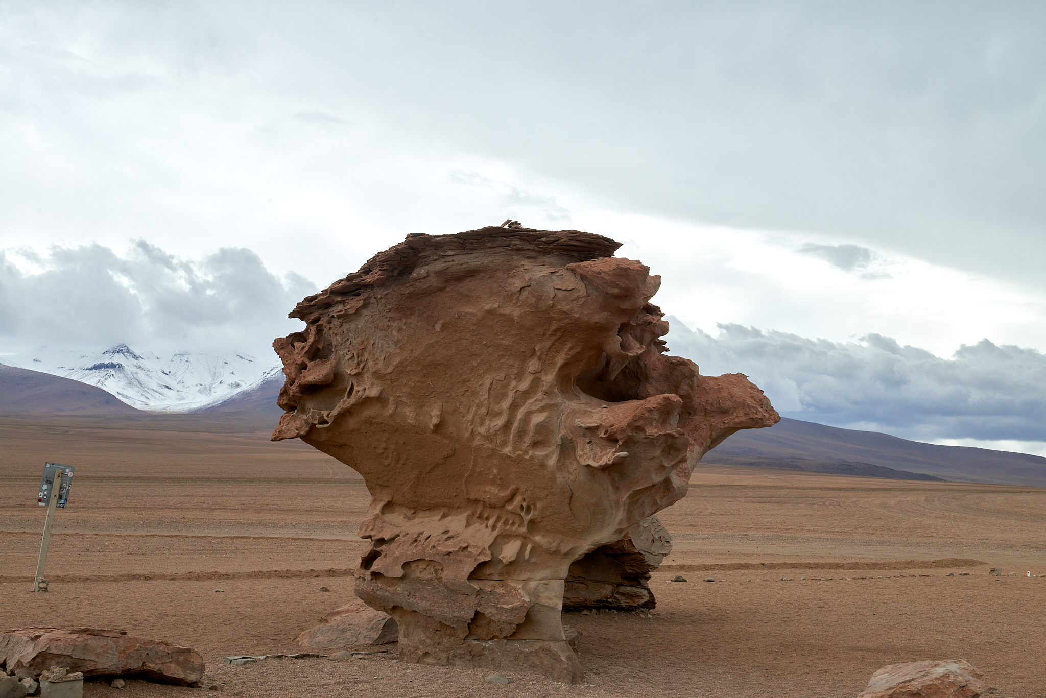 20200313 515 [볼리비아] 아르볼 데 삐에드라 돌 나무